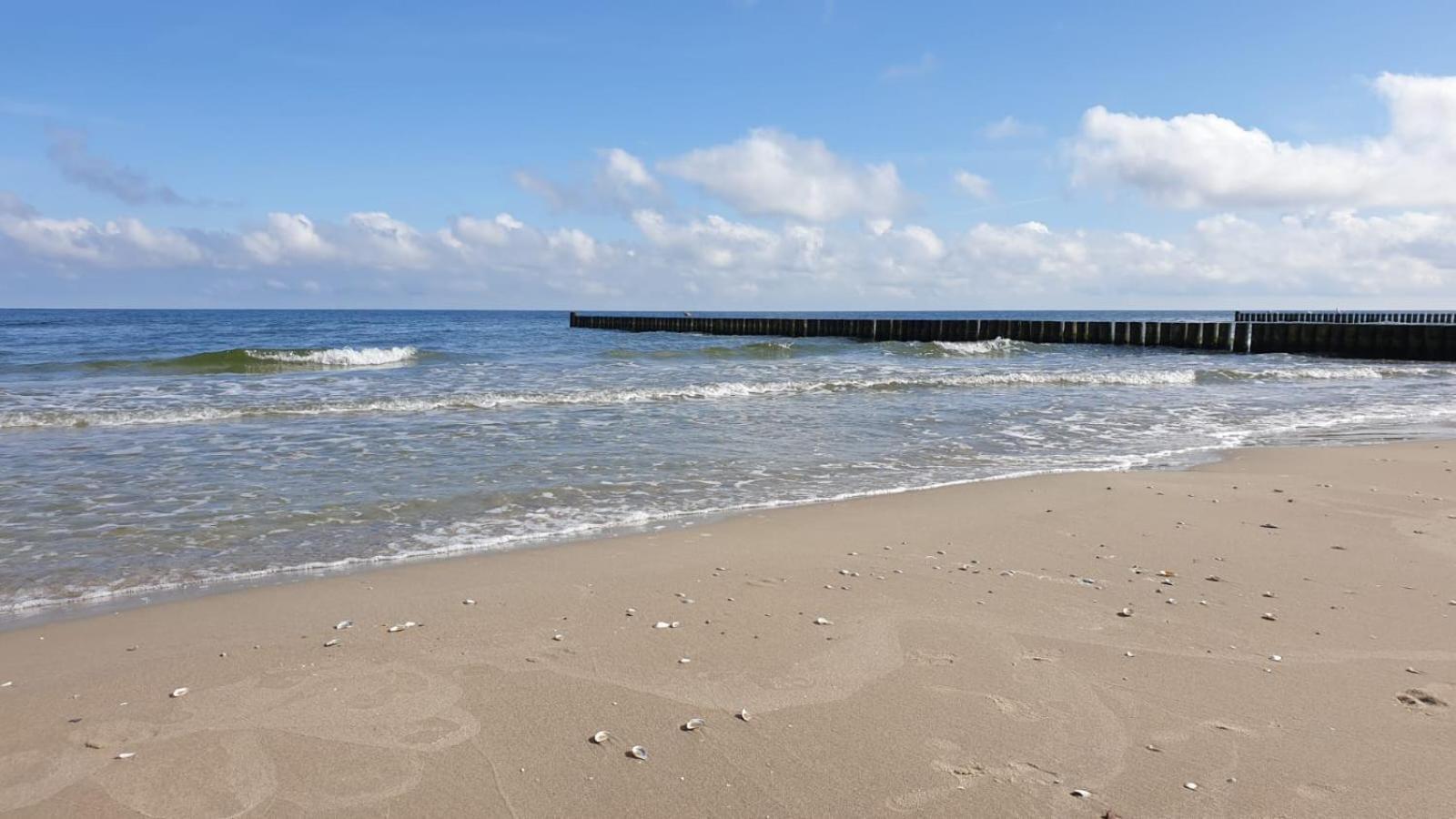 "Ab Zum Strand" Ferienwohnung Mit Balkon زيمبين المظهر الخارجي الصورة